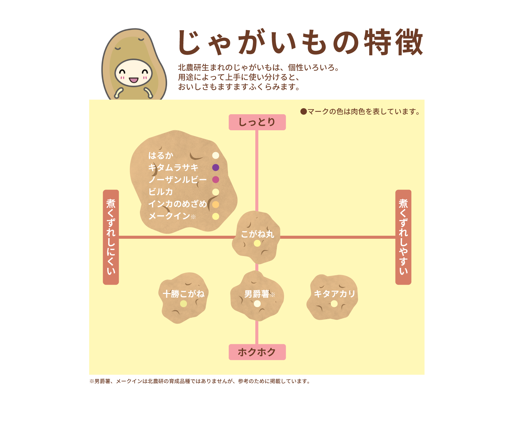 じゃがいもの品種を使い分けて、美味しく食べよう！｜野菜科学研究会