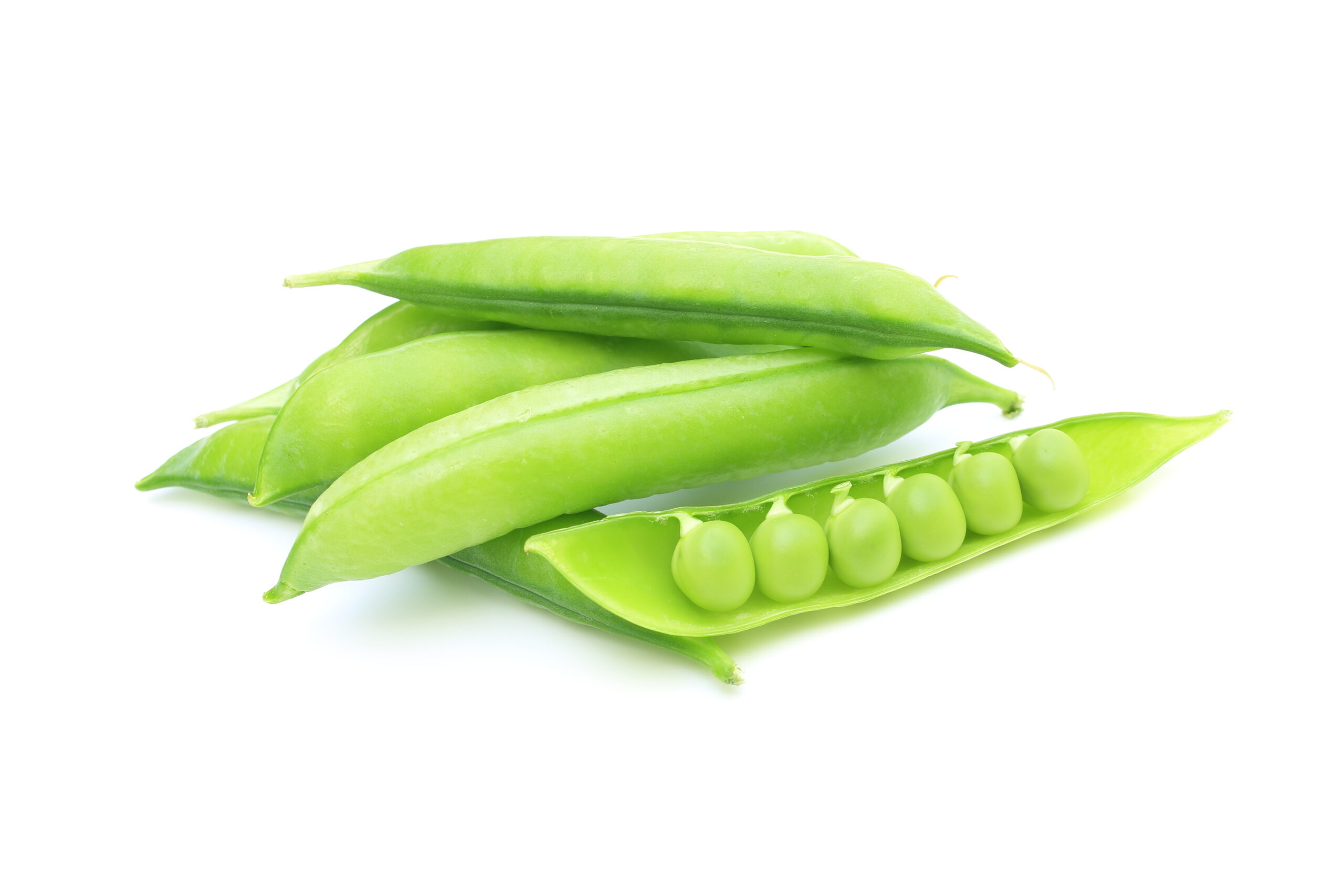 えんどうさま専用ページ 野菜図鑑】えんどう編｜野菜科学研究会