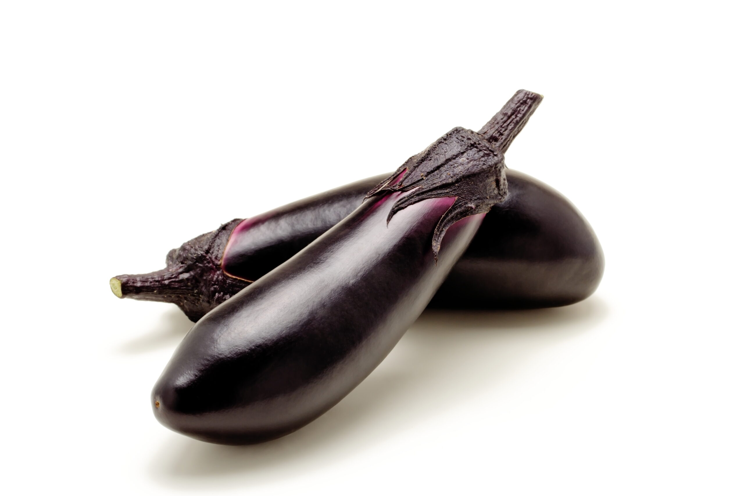 野菜図鑑】 なす編｜野菜科学研究会