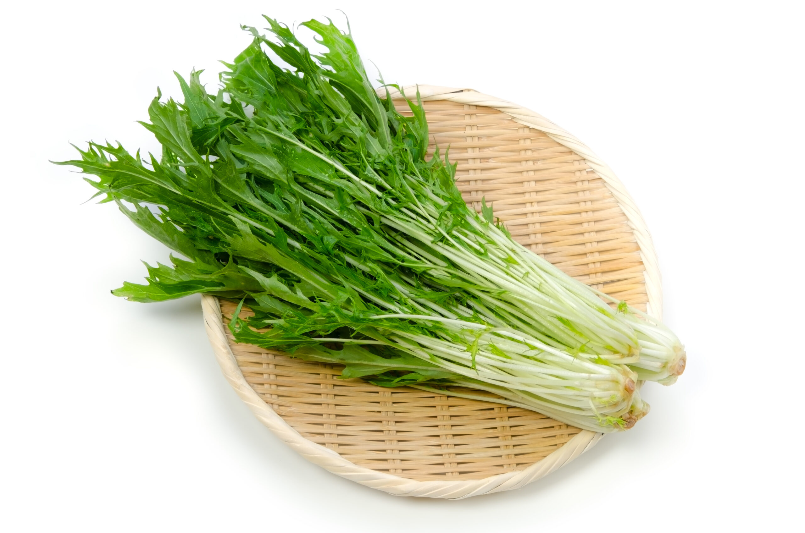 野菜図鑑】水菜編｜野菜科学研究会