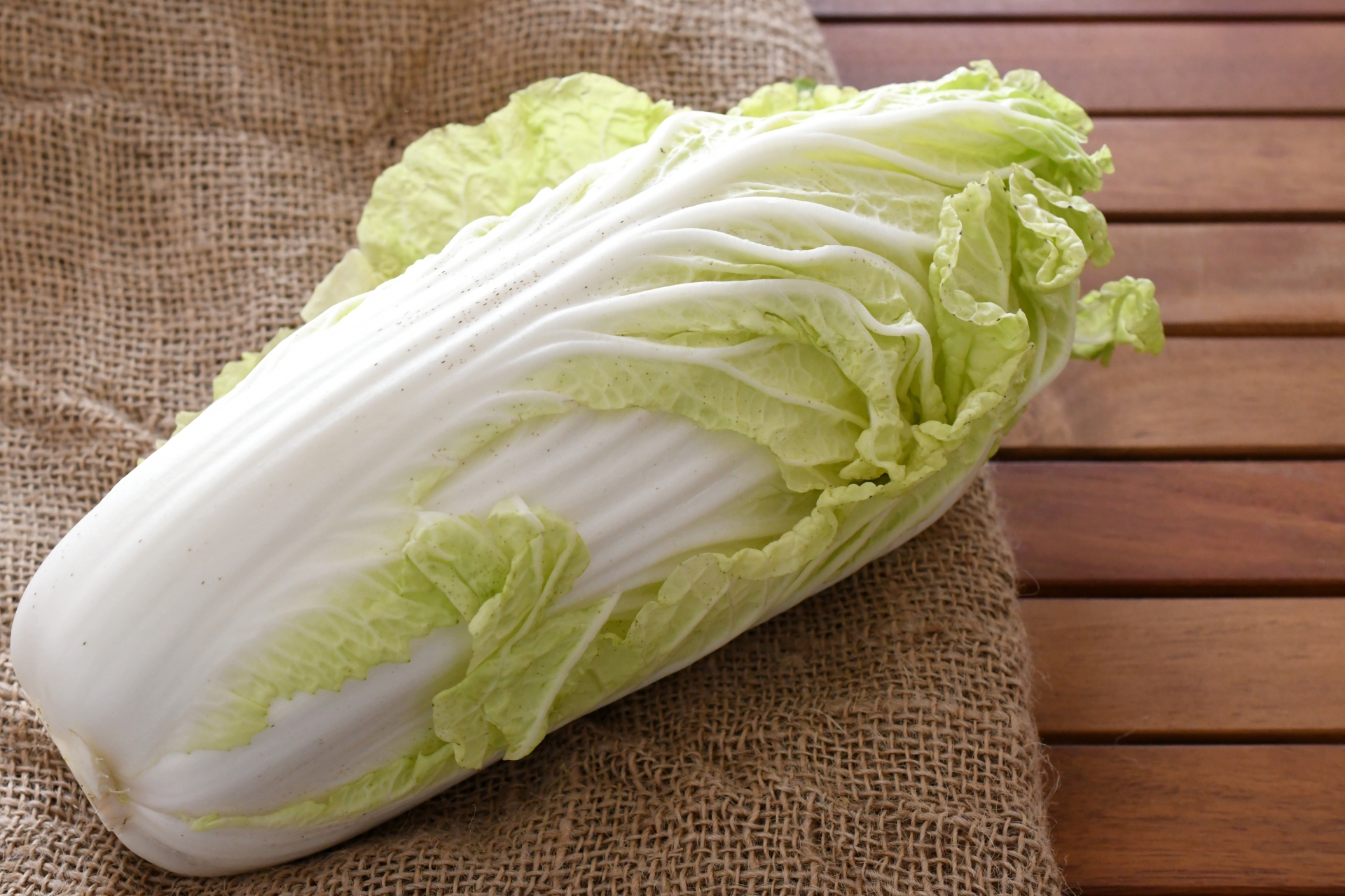 実は意外と最近だった！？ 白菜誕生物語｜野菜科学研究会