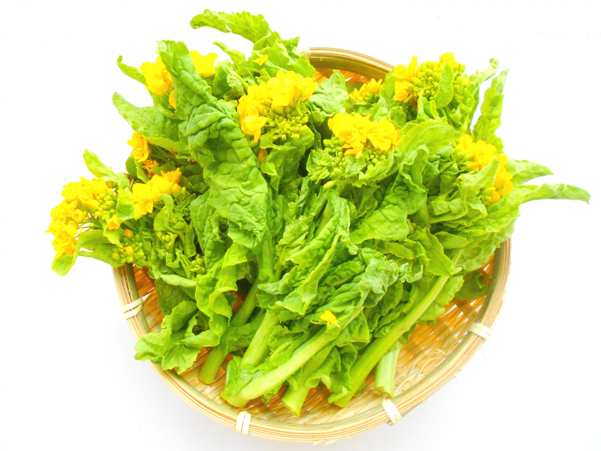 菜花出品 春の訪れを告げる菜の花はトップクラスの栄養価！｜野菜科学研究会