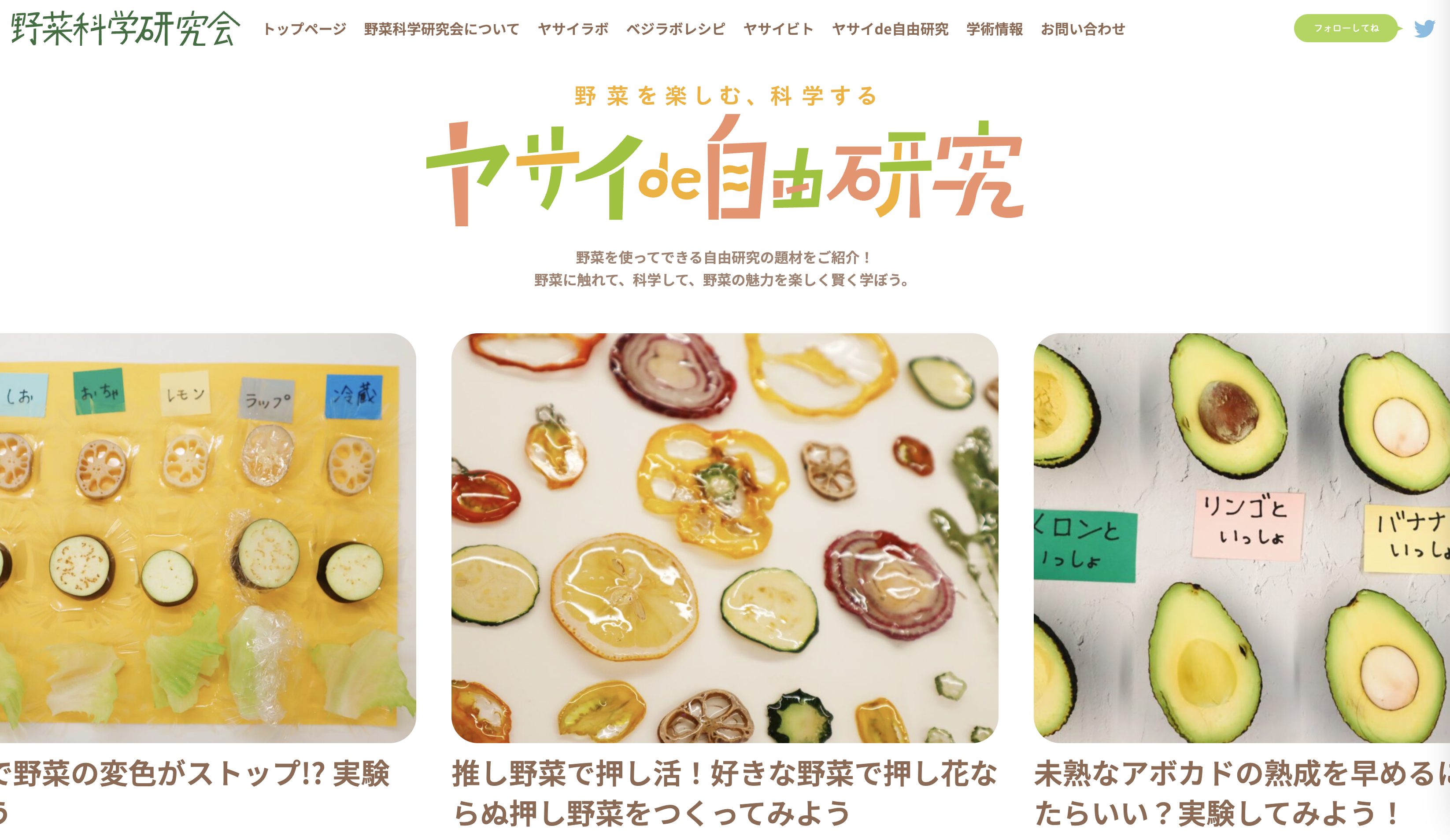 ヤサイde自由研究ページを公開しました！｜野菜科学研究会