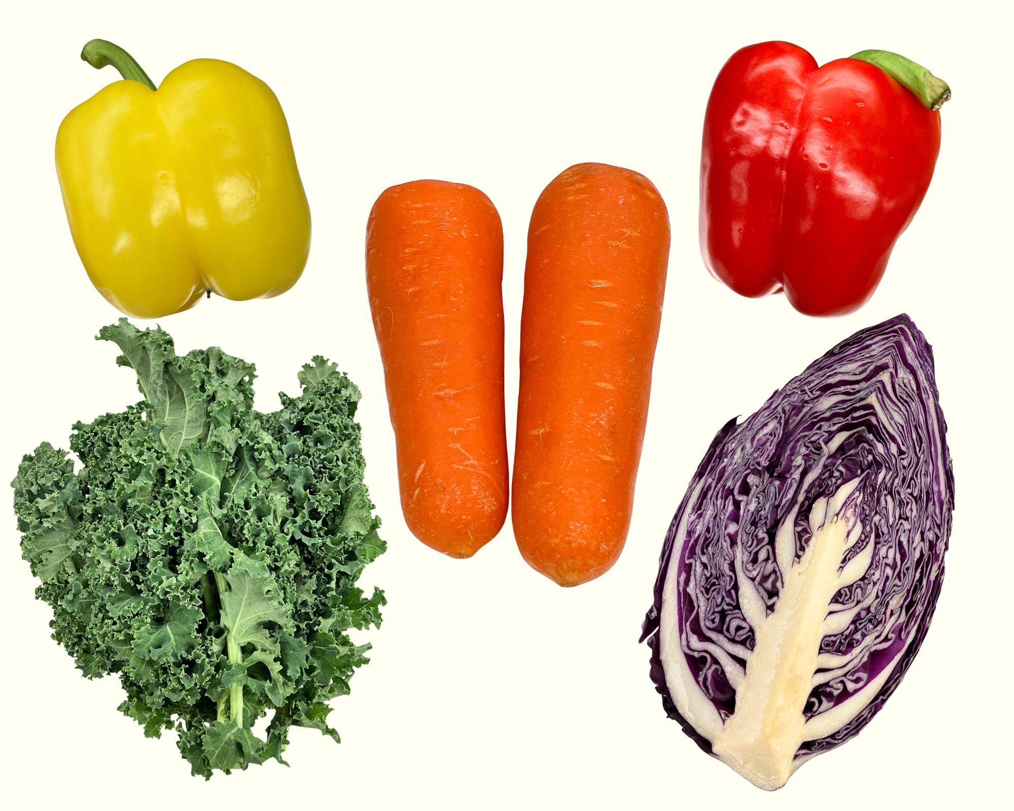 野菜を使った手づくり色水でお絵かきやぬりえに挑戦してみよう!
