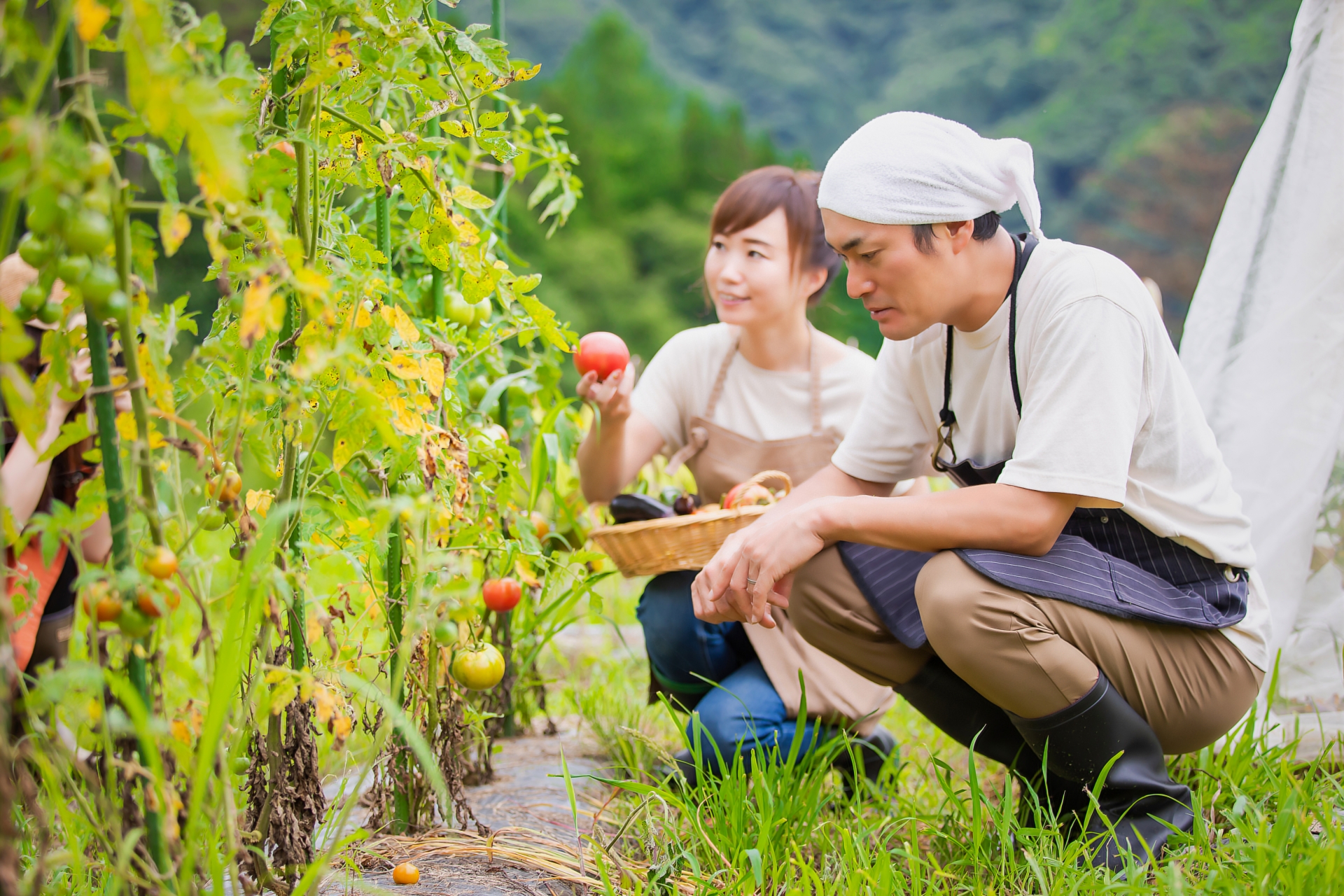 農家 安い つなぎ なぜ