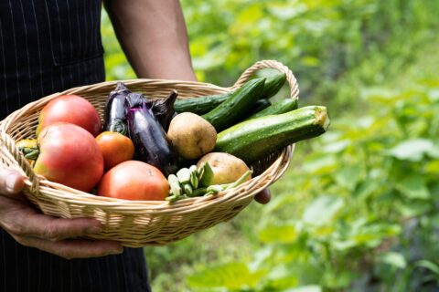 野菜　丸ごと