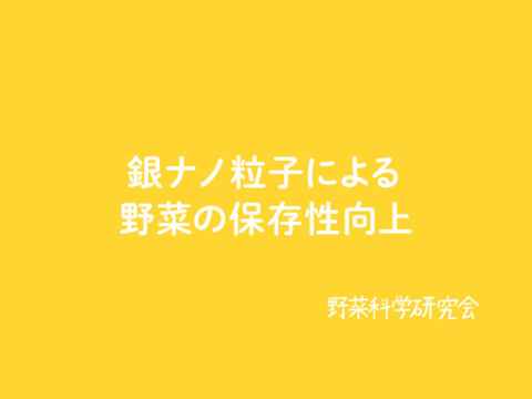 銀ナノ粒子による野菜の保存性向上