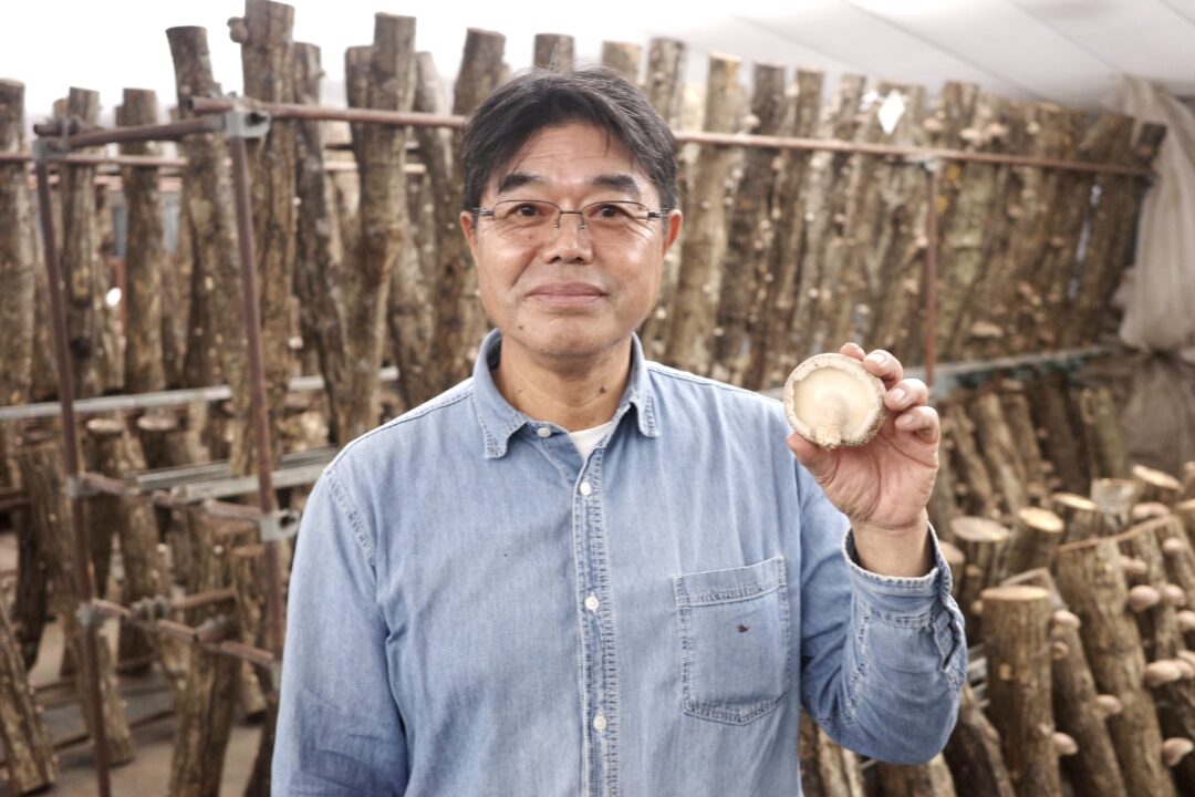 吉村しいたけ農園 吉村孝幸