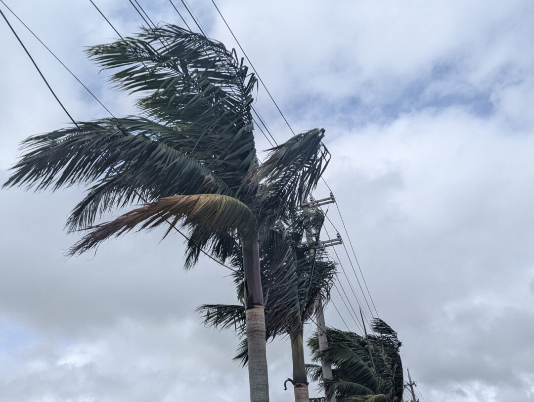 台風