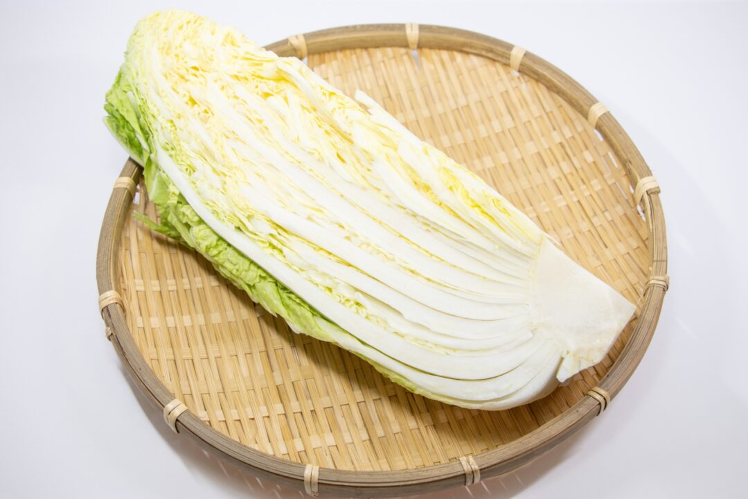 白菜