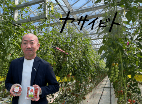 ヤサイビト_荒木 真志 イノチオみらい株式会社