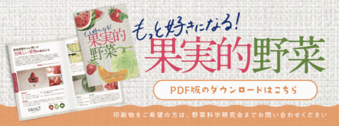 果実的野菜_サイト用バナー