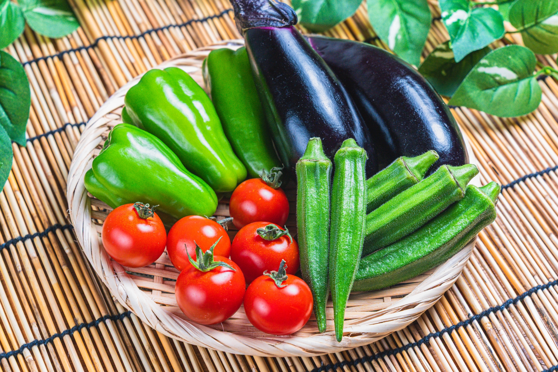 親子で楽しむ！野菜の自由研究アイデア｜野菜科学研究会