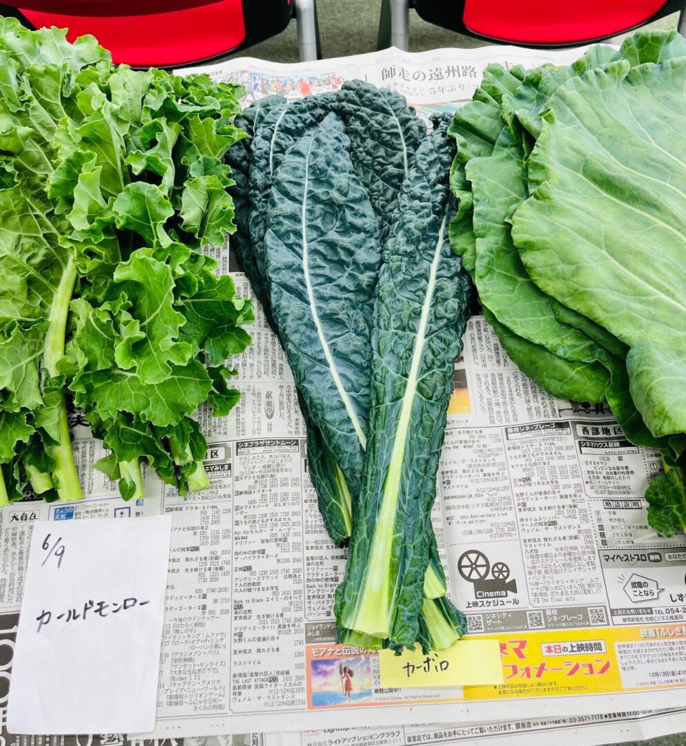 増田採種場の品種