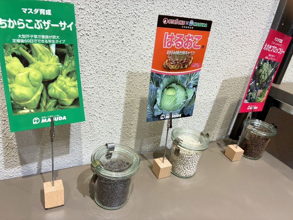 増田採種場の種